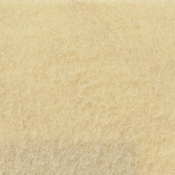 ExpoLuxe Velours Teppich 30m Länge 200cm Breite mit Folienabdeckung
